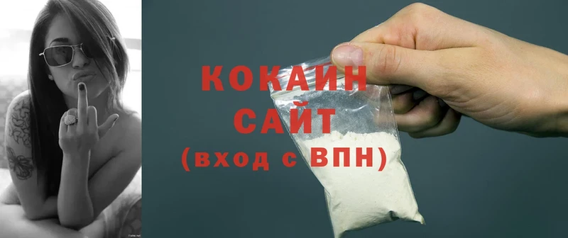 Кокаин FishScale  mega ССЫЛКА  Вязьма  дарк нет формула  что такое наркотик 